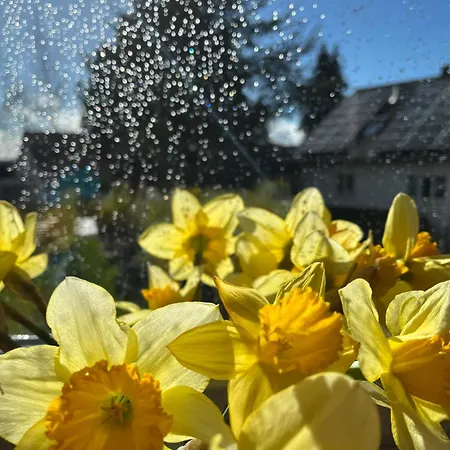 Kunstpause Am Altmuehlsee 公寓